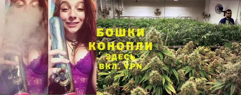 где купить наркоту  Котово  Шишки марихуана White Widow 